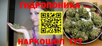mdma Дубна