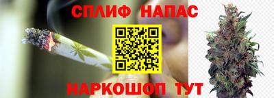 каннабис Донской