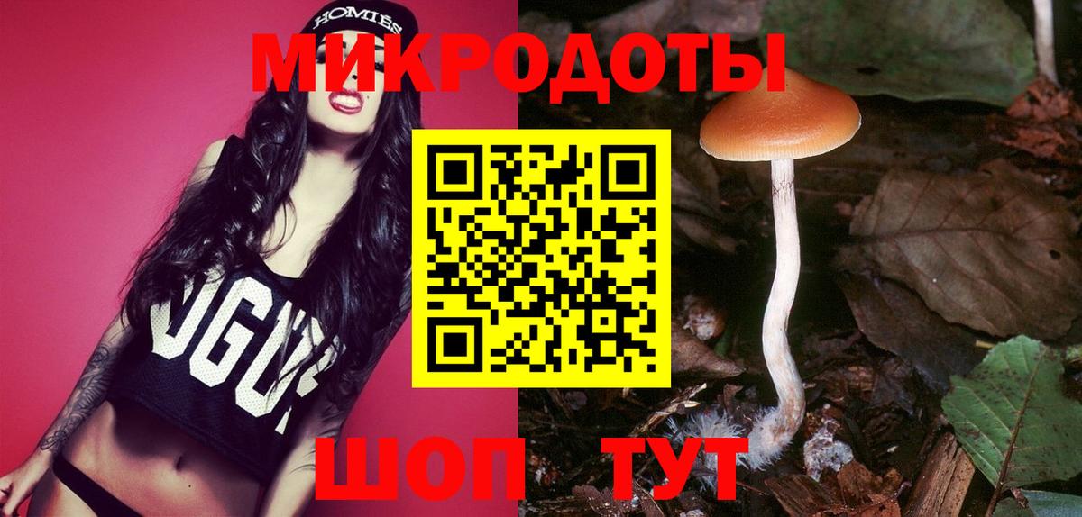 Псилоцибиновые грибы Psilocybe  цены   Нефтекамск  Псилоцибиновые грибы Psilocybine cubensis  Вход с VPN 