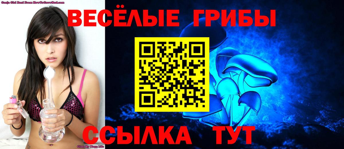 Псилоцибиновые грибы Psilocybe Нефтекамск